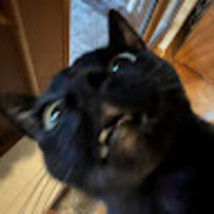 Meet your Posher, Kj